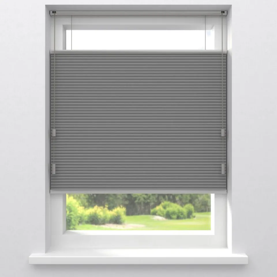 Kwantum Fenstr Dubbel Plissé Aniek Verduisterend