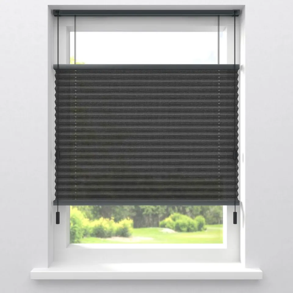 Kwantum Fenstr Plissé Lina Transparant